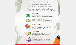 Fragancias para Hair Care