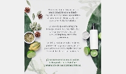 Fragancias para Hair Care