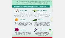 FRAGANCIAS PARA SKIN CARE