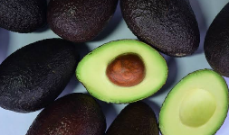Aguacate variedad Flor Loca