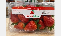 Fresa en distintas variedades