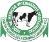 organizador