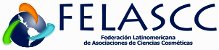 organizador