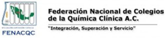 organizador