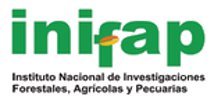 organizador