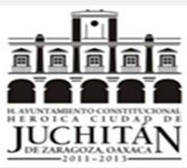 organizador