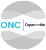 organizador