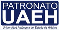 organizador