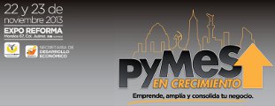 PyMes en Crecimiento 2013