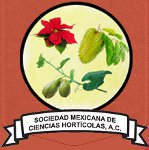organizador