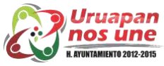 organizador