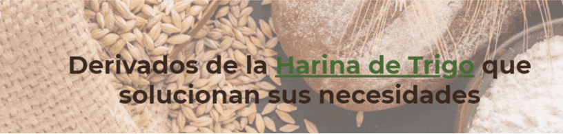 foto portada Gluten y Almidones Industriales