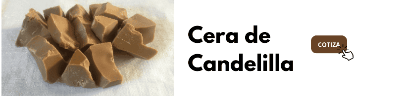 foto portada Producción de Cera