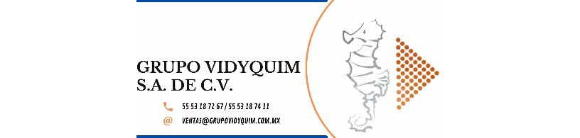 foto portada Grupo Vidyquim