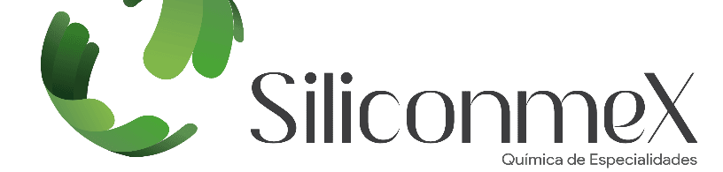 foto portada SiliconmeX