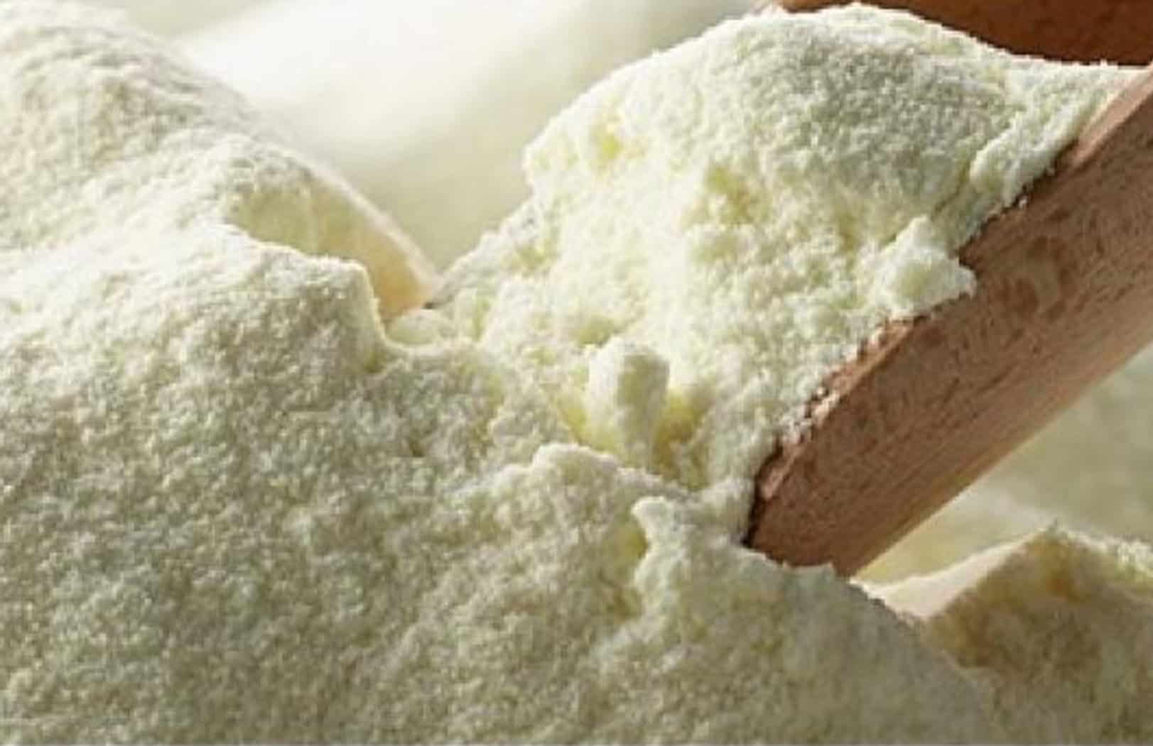 Leche en polvo descremada