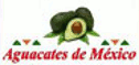 Aguacate hass