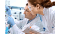 Esterilizantes en frio