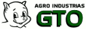 Sorgo