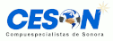 Publicidad virtual