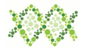 Everolimus