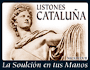 Elasticos para confeccion