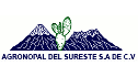 Nopales