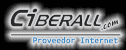 Internet empresarial