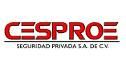 Seguridad intramuros