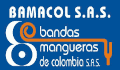 Bandas elasticas