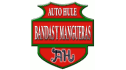 Bandas automotrices