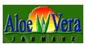 Bebidas de aloe vera