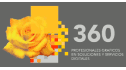 Paginas web