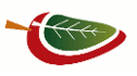 Chiles deshidratados
