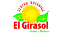 Aceite de hueso de mamey