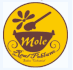 Mole gourmet