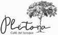 Cafe tostado en grano