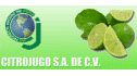 Aceite de limon destilado
