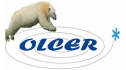 logo de OLCER VENTILACION E INGENIERIA