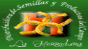 Hoja de maiz para tamales